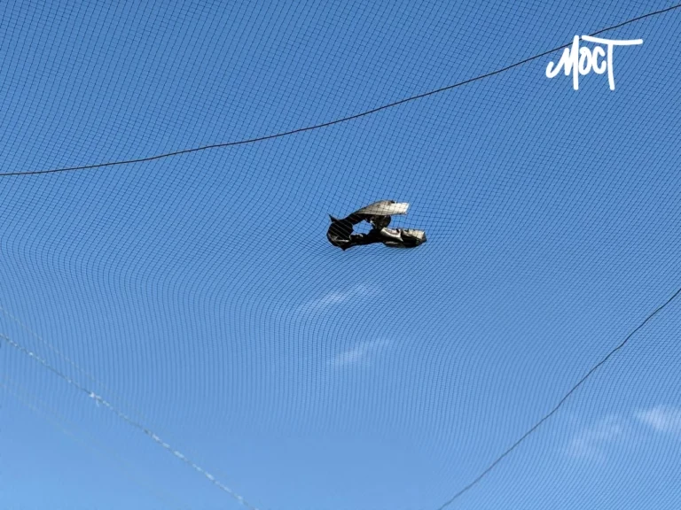 У Херсоні внаслідок атаки російського дрона згоріло таксі (відео)