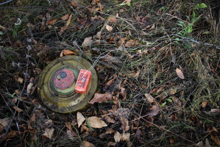 У Комишанах жінка підірвалася на замінованому вінку біля пам’ятника: вона померла у лікарні