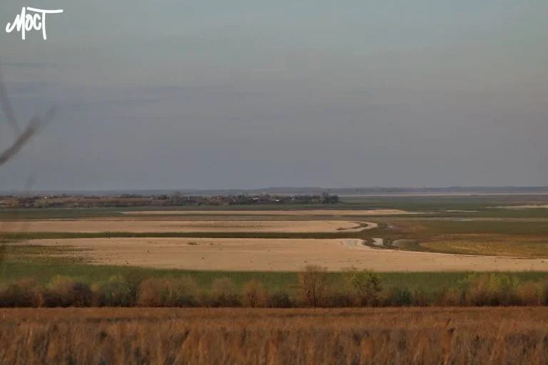 У Чорнобаївській громаді виставили на аукціон 175 гектарів державної землі