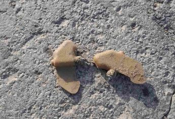 Херсонців попереджають про дистанційне мінування ворогом житлового кварталу у Корабельному районі