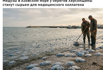 На лівобережжі Херсонщини окупанти планують відкрити підприємство з переробки… морських медуз