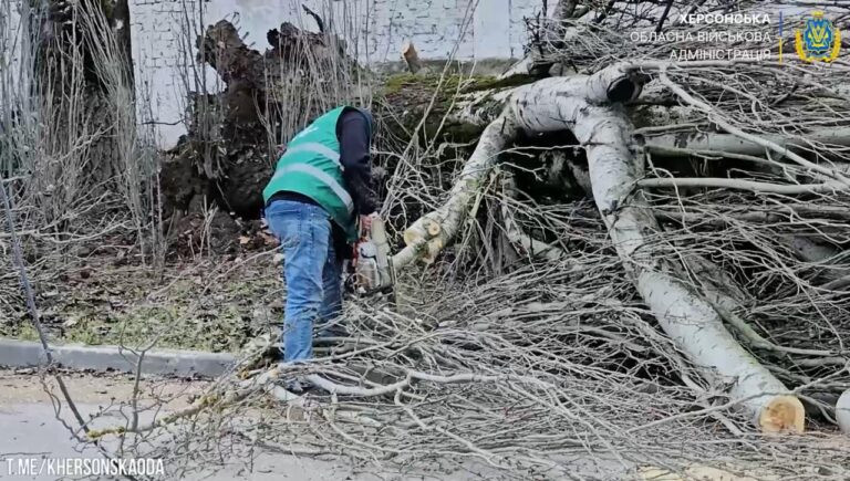 У Херсоні ліквідовують наслідки стихії: комунальники розчищають заблоковані вулиці