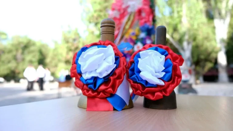 Окупанти підтвердили приїзд лише двох вчителів із РФ за рік за програмою «Земський учитель»