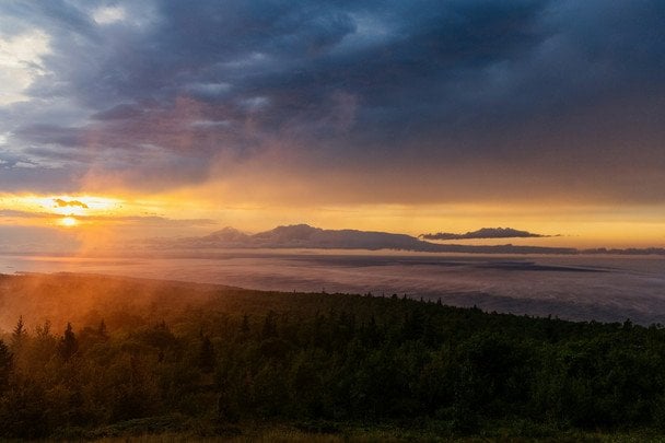 Туман 6 серпня — чекайте на теплу і погожу осінь / © unsplash.com