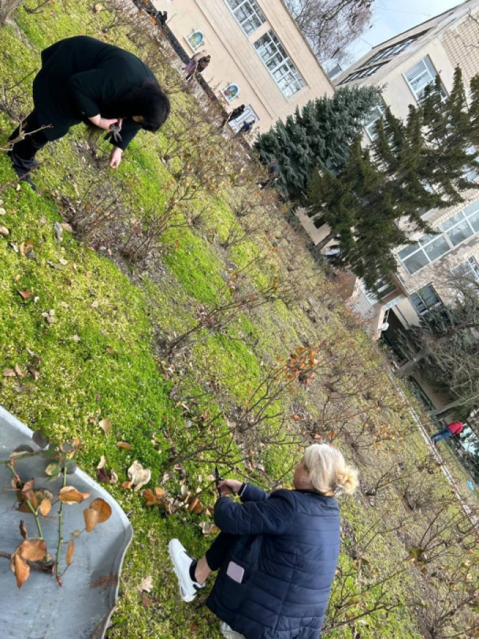 Скадовські окупаційні податківці на «суботнику» / Окупаційне джерело