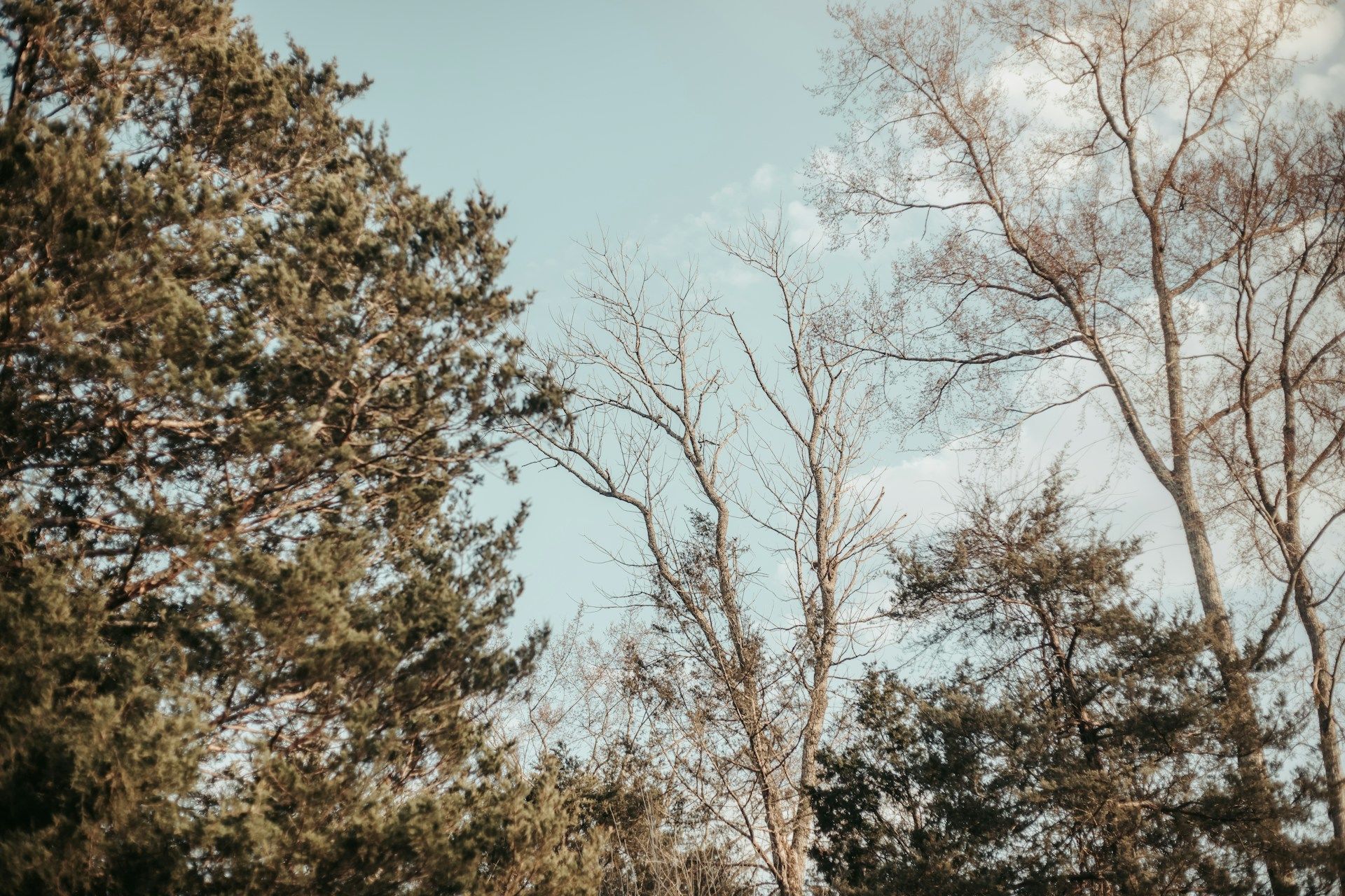 7 березня температура сильно впала до ночі — чекайте на заморозки / © Unsplash