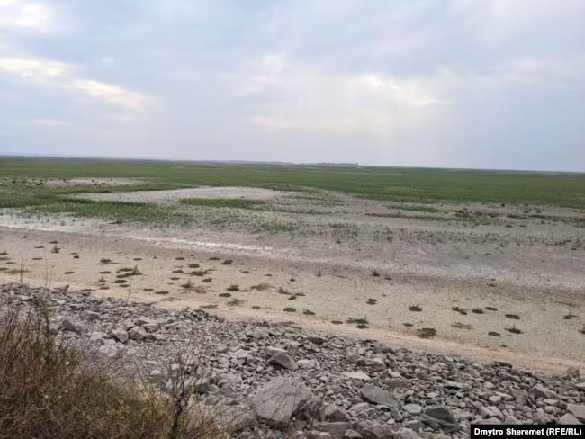 Каховське водосховище висохло і заростає травою, серпень 2023 року