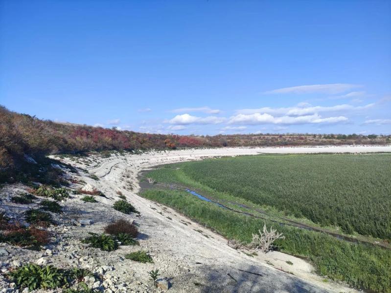 Катастрофа Каховського водосховища: вербові ліси, море чи вода для Криму