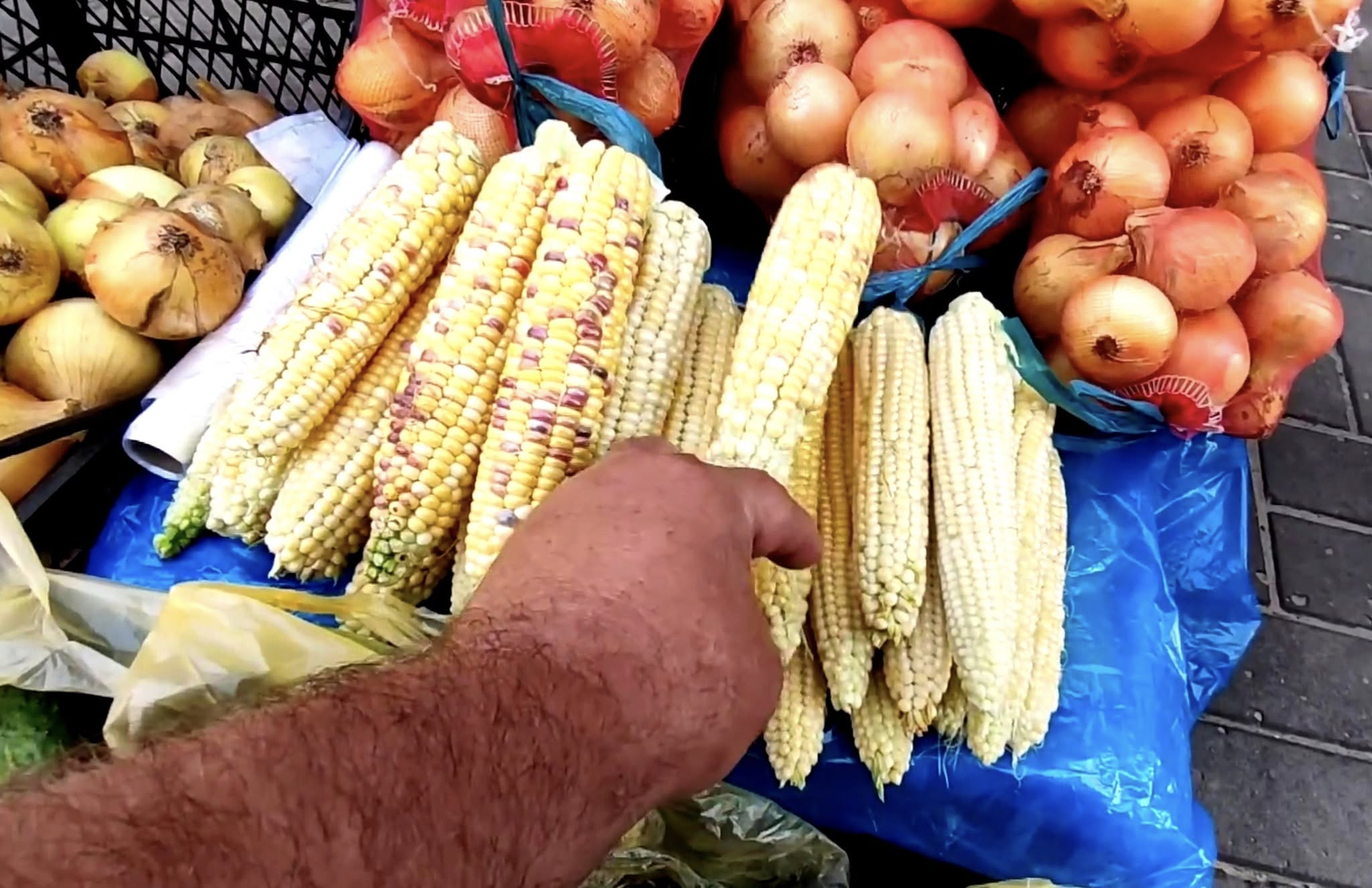 жовто-синя кукурудза