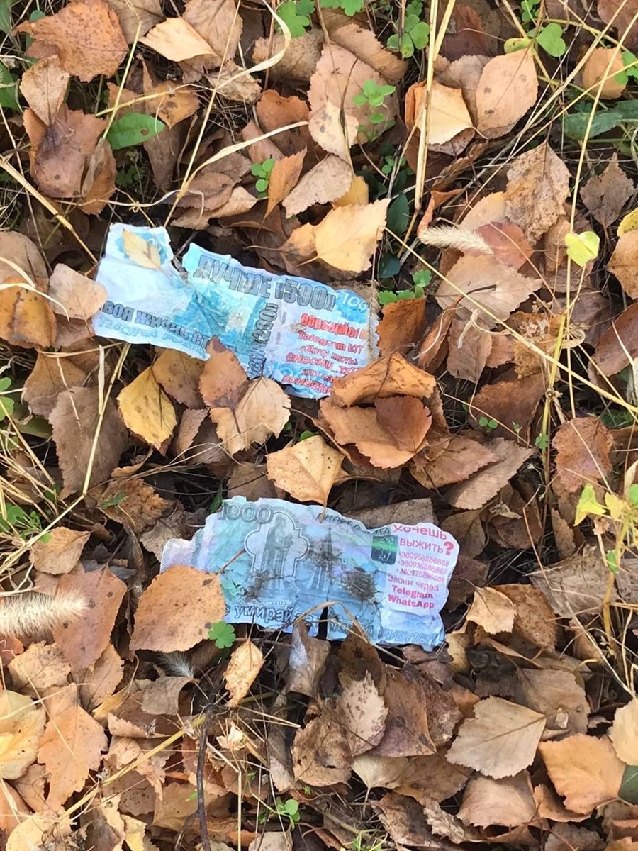 Листівки з детальними інструкціями для росіян