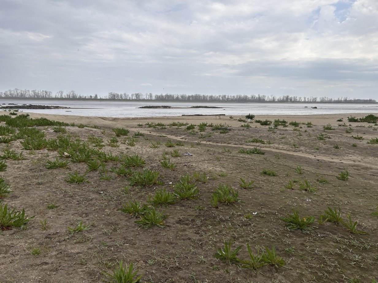 Піщані відклади на дні колишнього Каховського водосховища