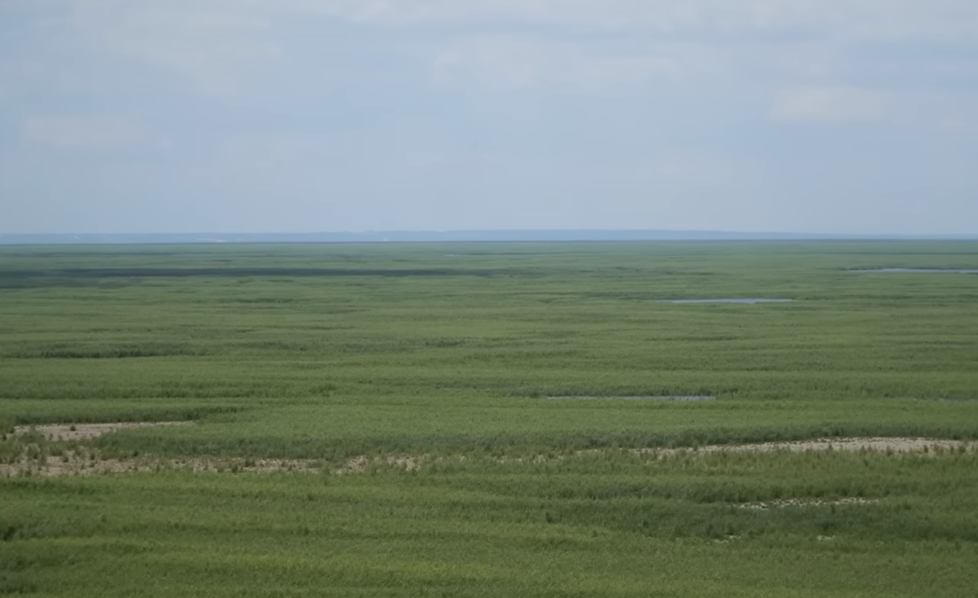 Скріншот: youtube.com/@SuspilneDnipro