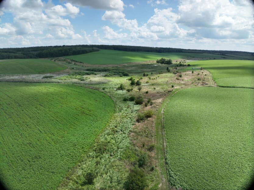 Заплавна територія, Вашковецька ТГ, Чернівецька область (фото: WWF-Україна)