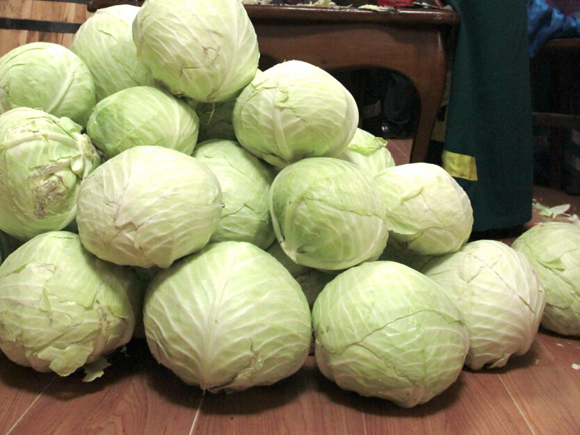 Ціни на капусту
