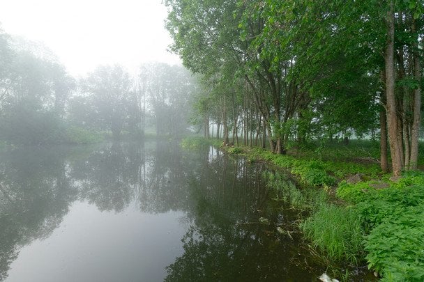 9 червня вранці туман — чекайте на дощ після обіду / © unsplash.com