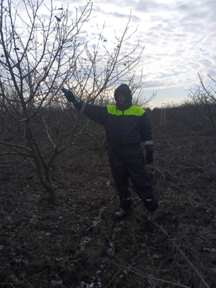 Сад Анатолія перед настанням весни