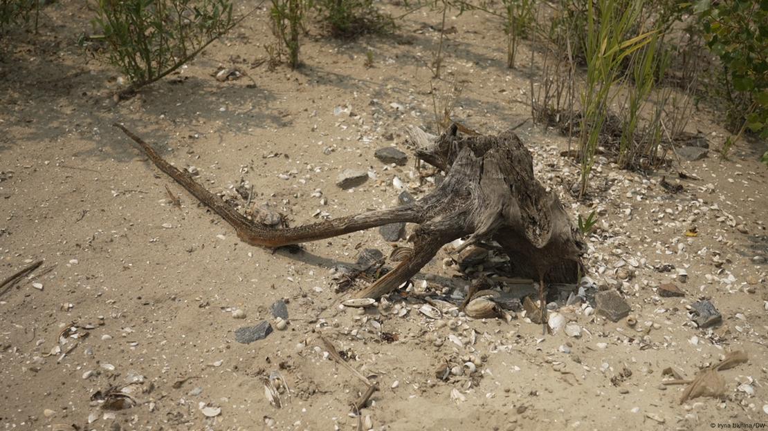 Дно колишнього Каховського водосховища