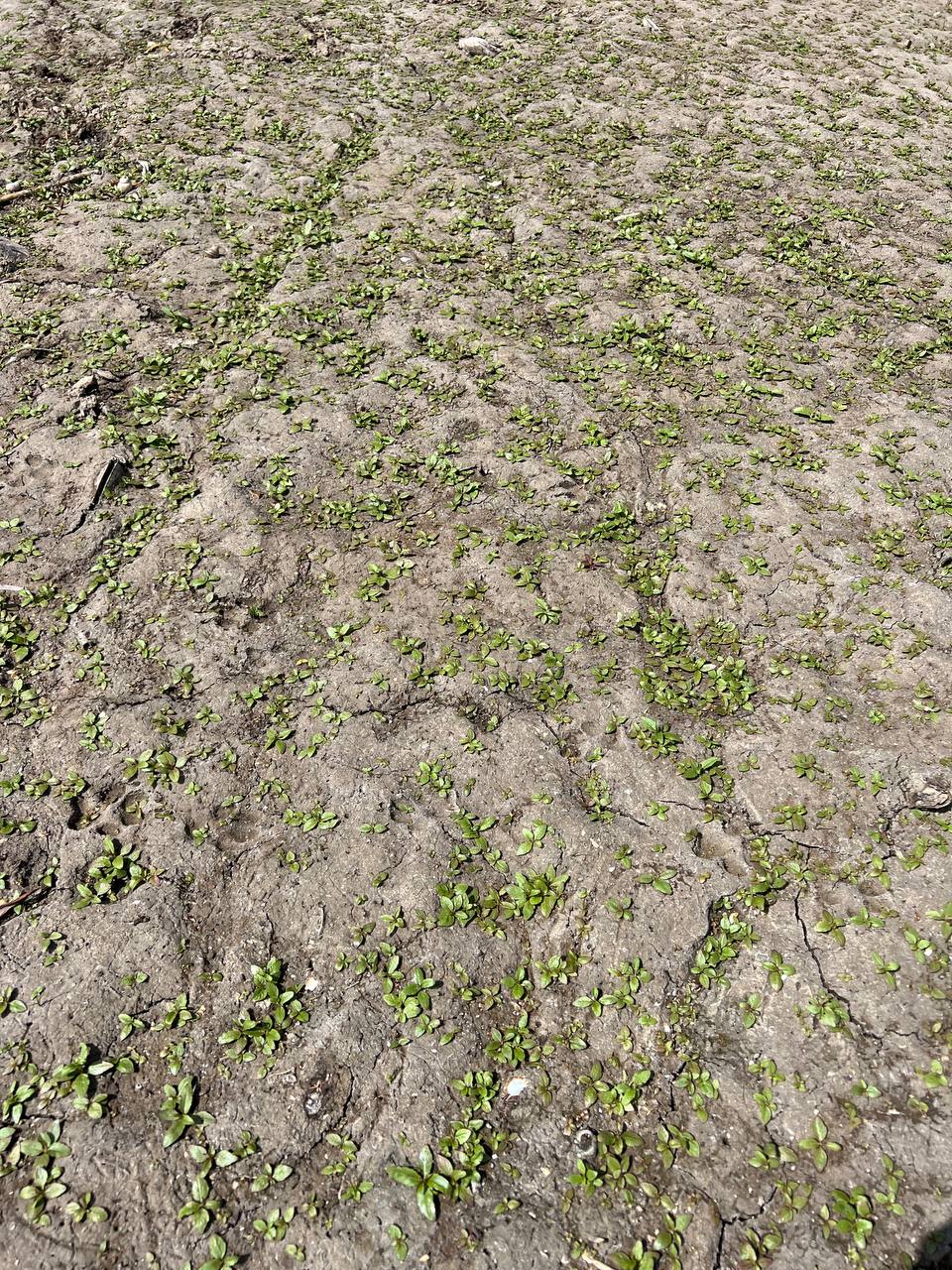 Каховське водосховище