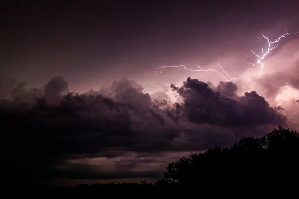 16 червня дощ з блискавкою — чекайте на велику кількість грибів / © unsplash.com