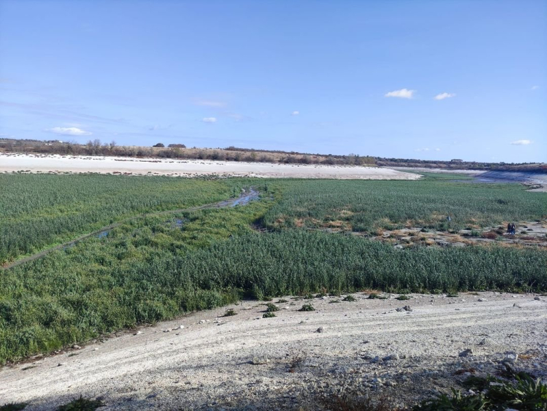 Катастрофа Каховського водосховища: вербові ліси, море чи вода для Криму