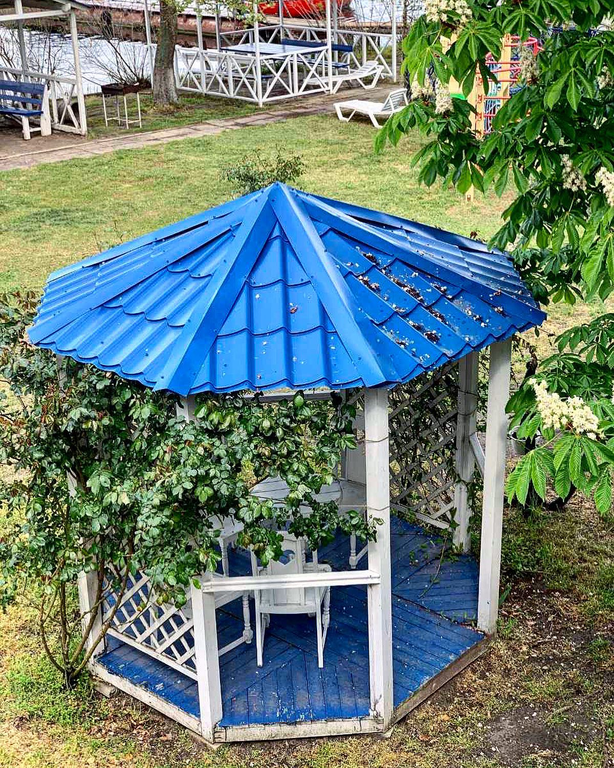 110 років третьому затону: окупанти знищили місце відпочинку та спорту херсонців (фото, відео)