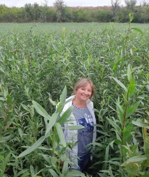 Катастрофа Каховського водосховища: вербові ліси, море чи вода для Криму