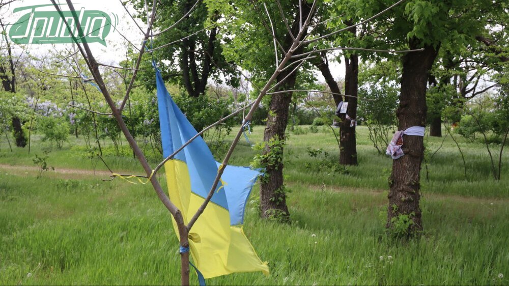 Бузковий парк – місце героїчного спротиву Херсона: який вигляд він має сьогодні (фото)