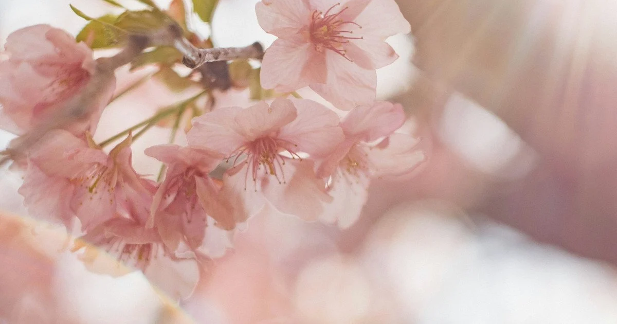 Який сьогодні, 5 квітня, день ангела