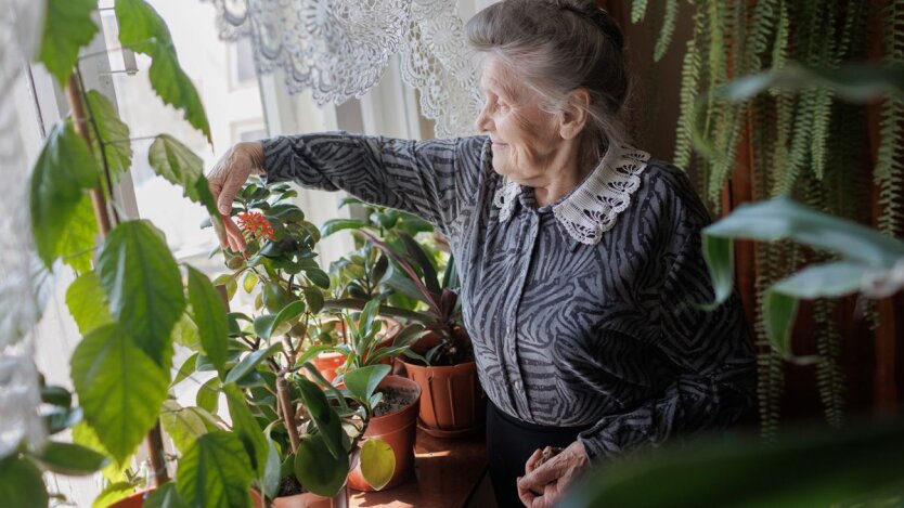 Страховий стаж / Фото: Getty Images