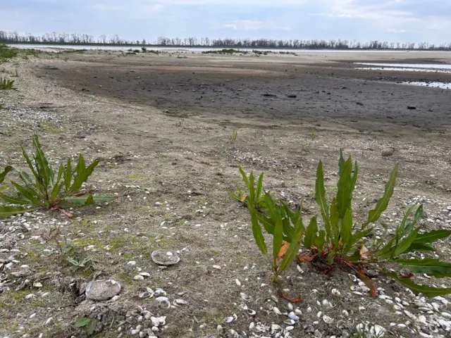 Каховське море