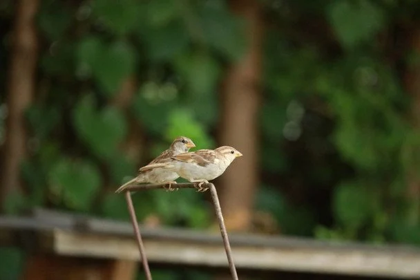 Ясна та тепла погода на 3 травня — до гарного літа / © unsplash.com