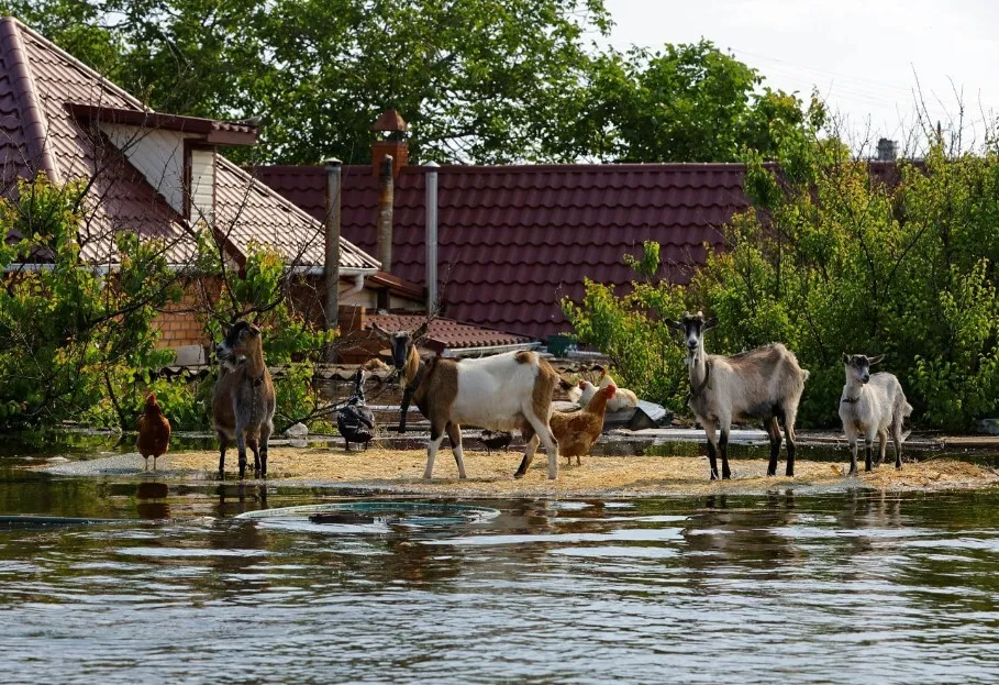Reuters опублікувала фото з жертвами повені через російський теракт на Каховській ГЕС. 21+