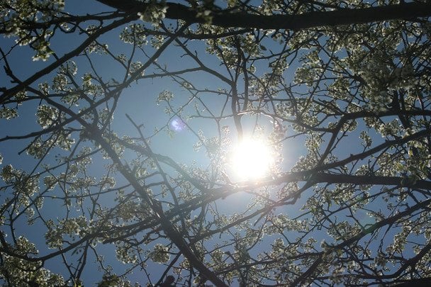 19 квітня ясно й тепло — літо буде раннє й тепле / © unsplash.com