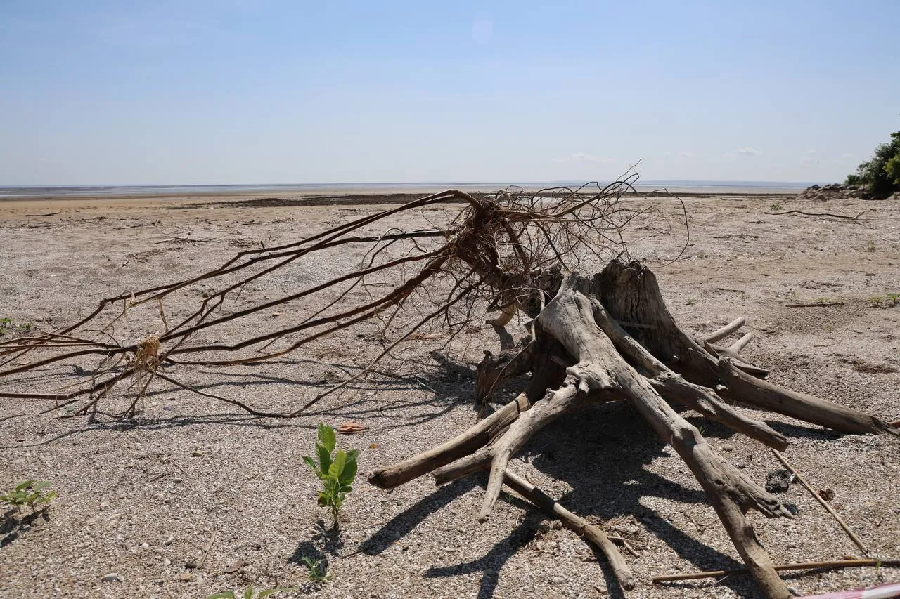 Висохло, як у Африці: у мережі показали, як зараз виглядає Каховське водосховище. Фото і відео