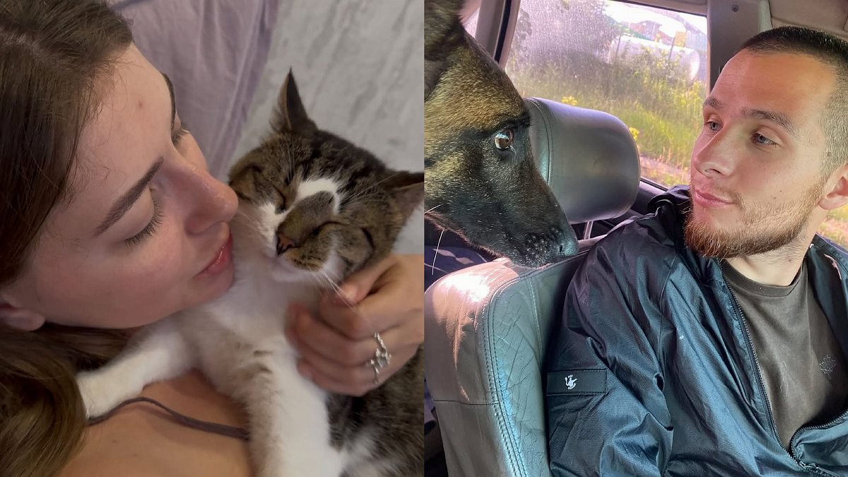 Волонтери допомогли господарям зустрітися зі своїми тваринами