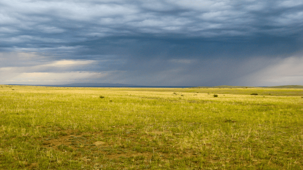 30 травня День степу в Україні / © Фото з відкритих джерел