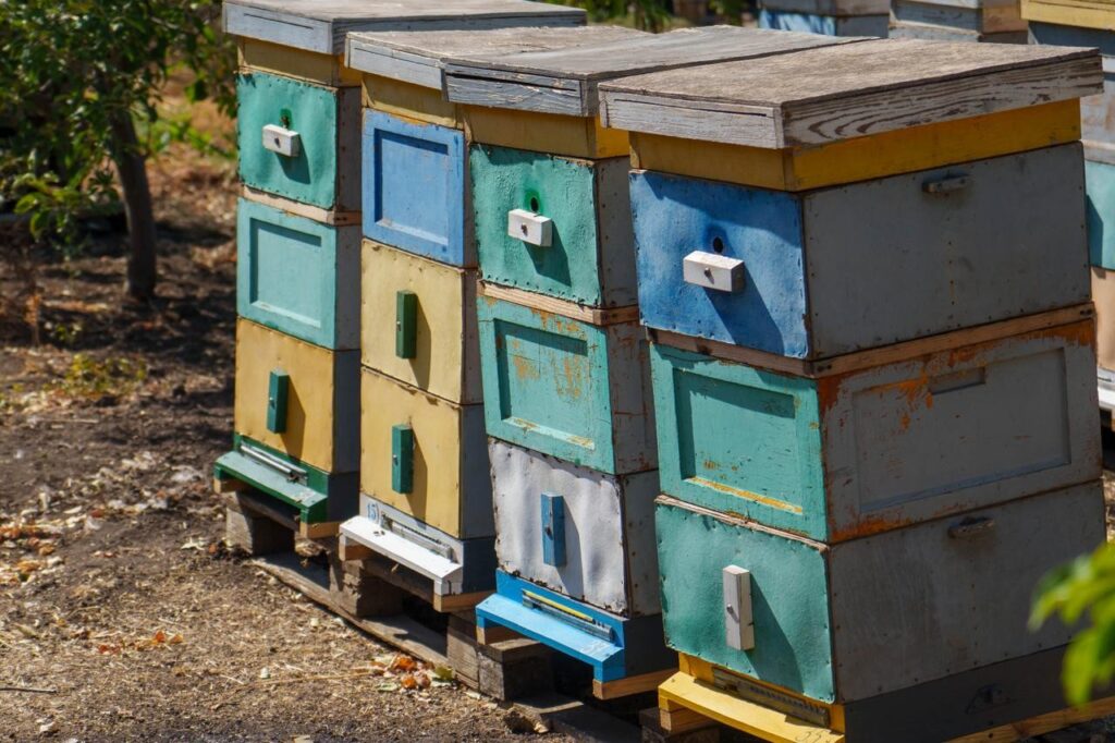 Херсонщина бджільництво