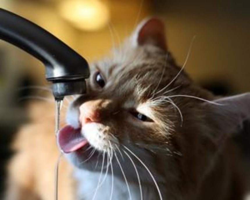 Тарифи на воду в Україні зростуть з 1 липня: як зміняться цифри в платіжках по областях