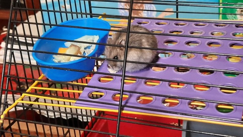 432305452 809012597921013 5066580998100802414 n