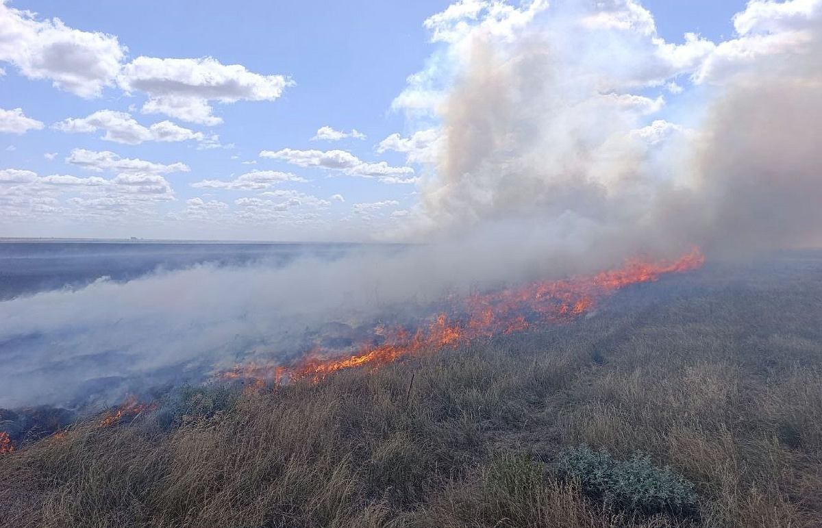 Пожежа на території біосферного заповідника "Асканія-Нова" 1 та 2 липня 2025 року