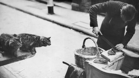 Історія: на початку війни в Англії сім'ї боялися, шо не прогодують улюбленців