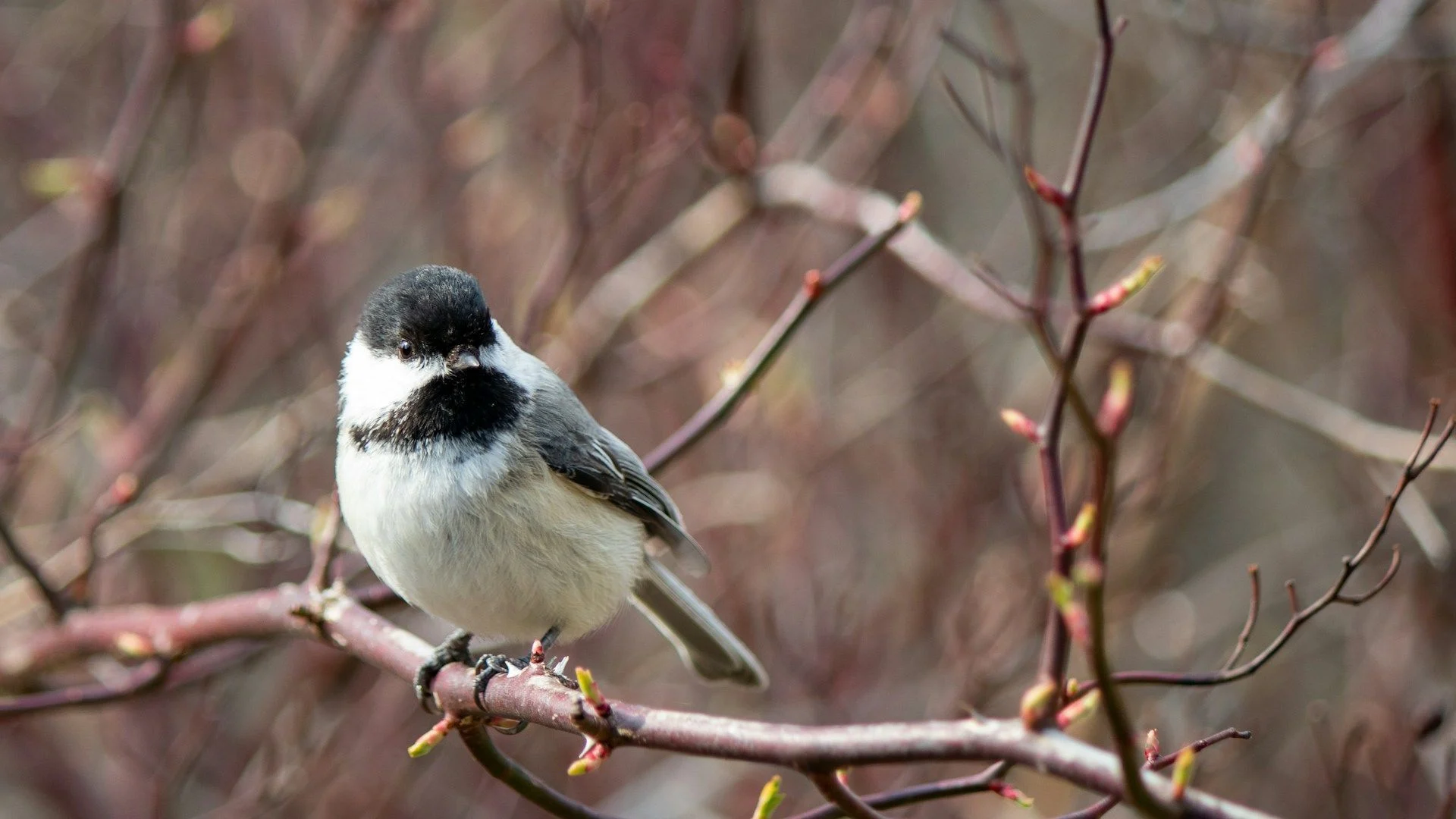 Народні прикмети 26 березня / © Unsplash