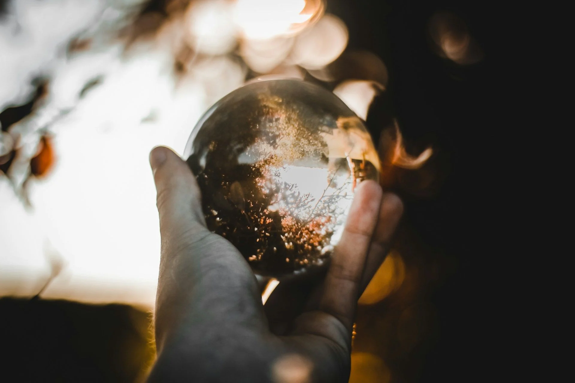 20 березня святкують Всесвітній день Землі / © Unsplash