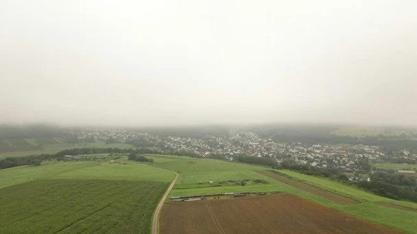 22 червня вранці туман — добре вродить овес / © unsplash.com