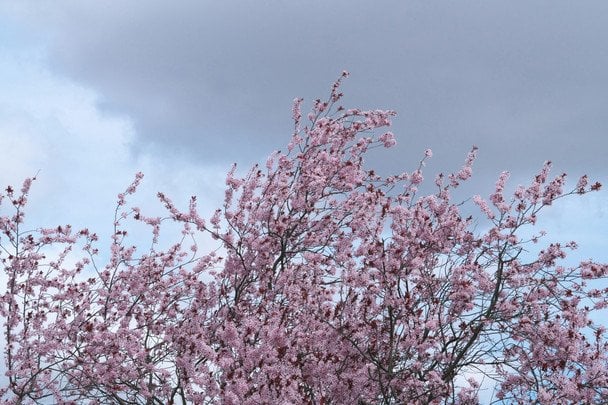 24 квітня день сонячний — літо буде сухим / © unsplash.com