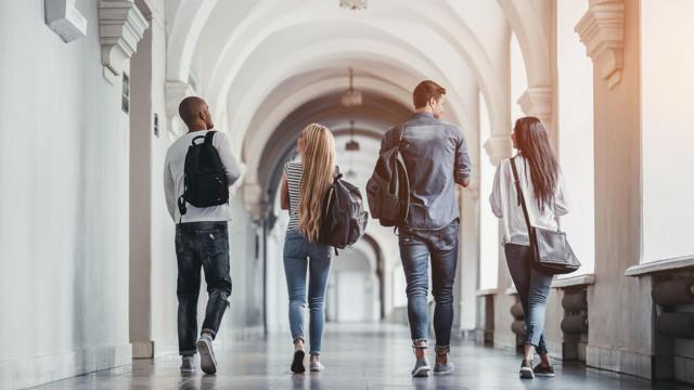 університет